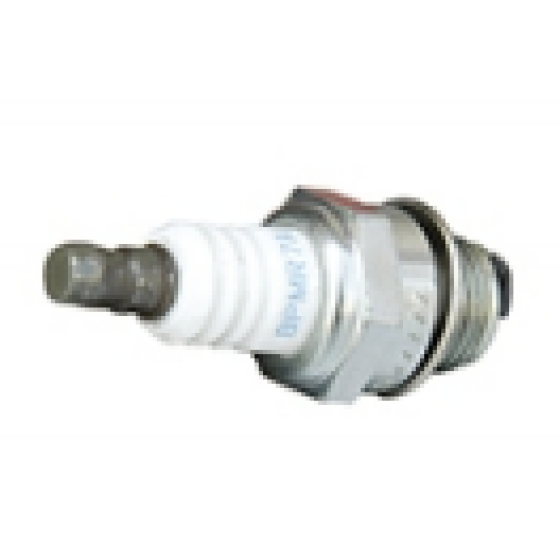 10 Spark plug