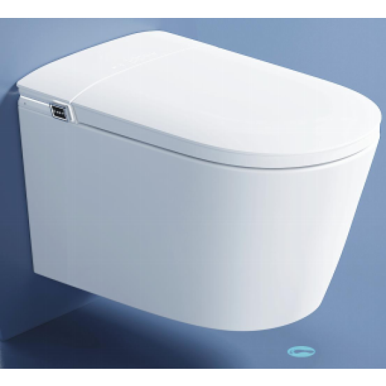 Wall-mounted smart toilet 878AG