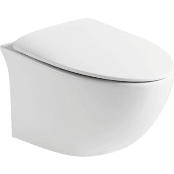Wall-mounted smart toilet DZ207