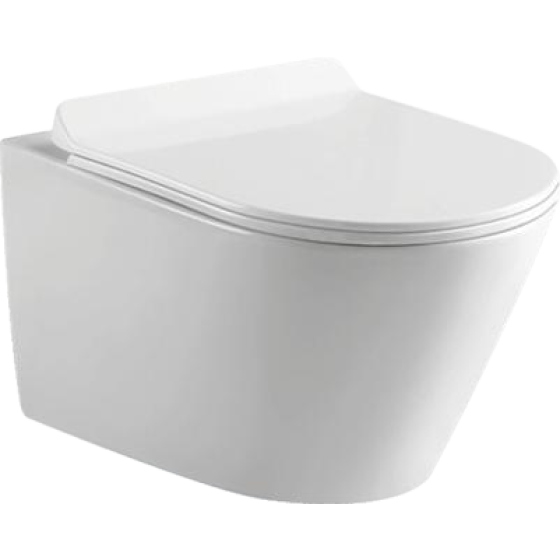 Wall-mounted smart toilet S803
