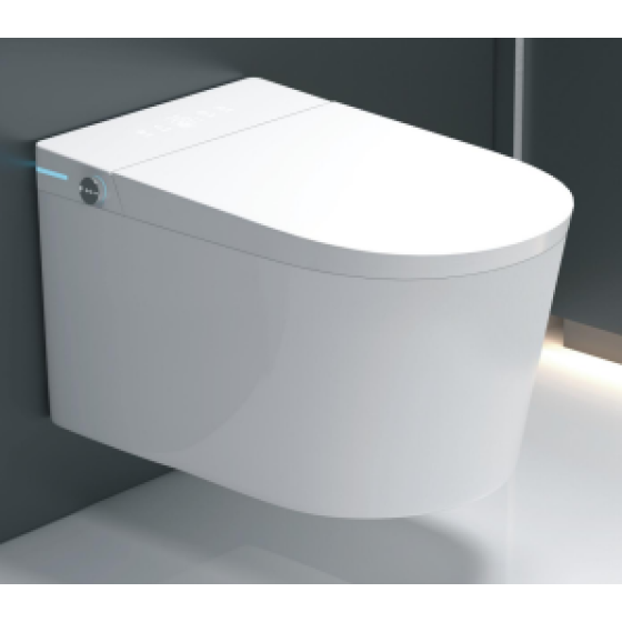 Wall-mounted smart toilet 856AG