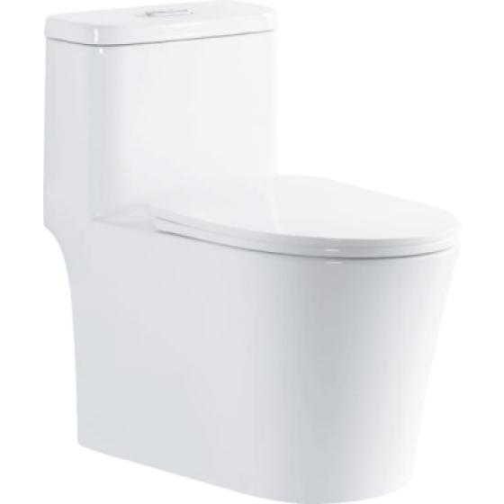 Jet siphonic toilet 6658