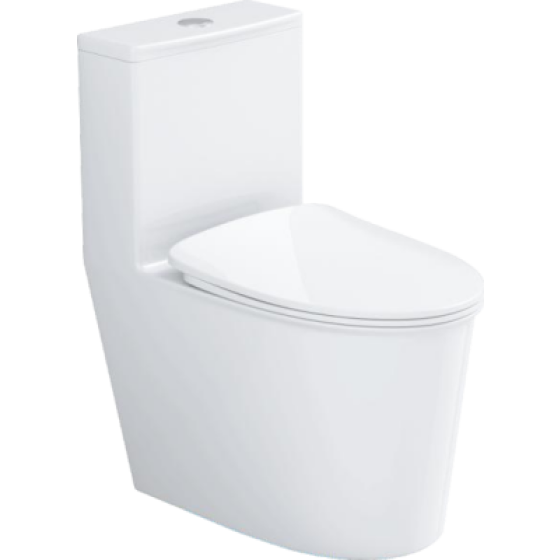 Jet siphonic toilet 6653