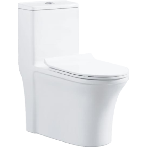 Super Whirlpool Toilet 6616