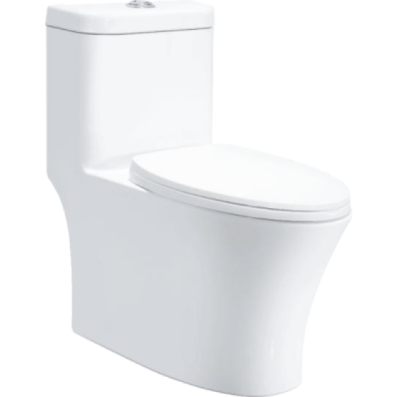 Super Whirlpool Toilet 6648