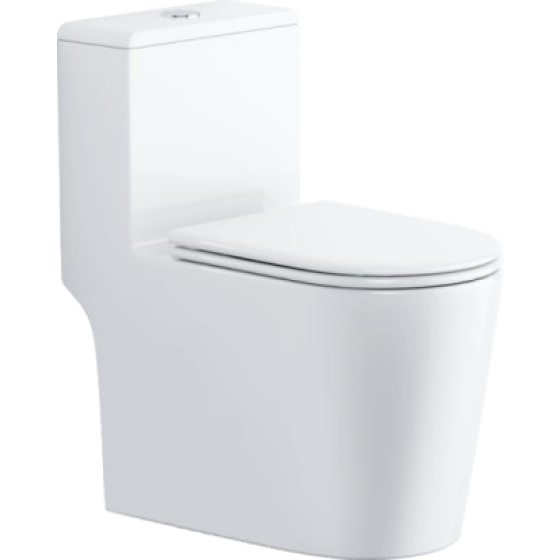 Super Whirlpool Toilet 6651
