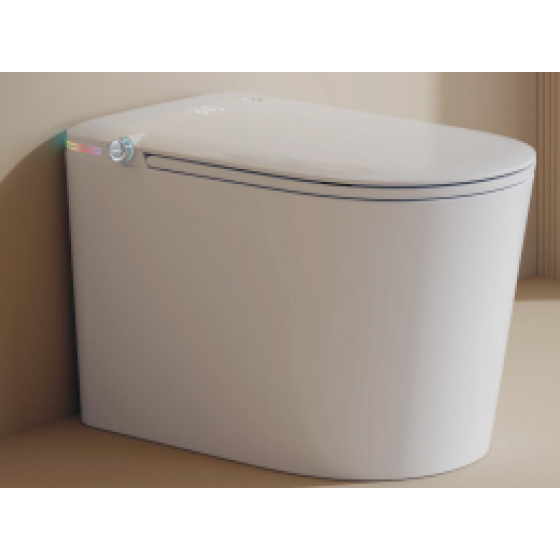Smart Toilet 896S