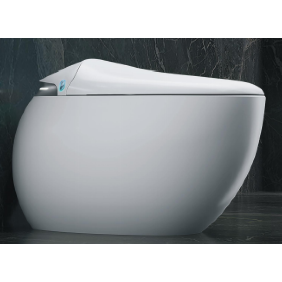 Smart Toilet 889SAT