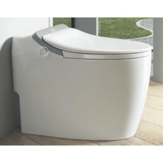 Smart Toilet 881SA