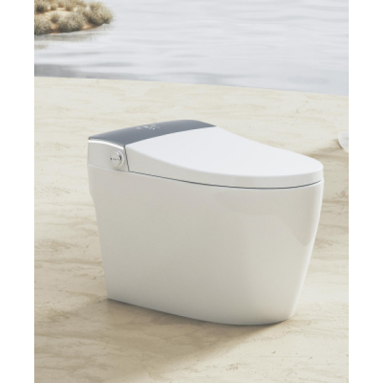 Intelligent toilet 872BSA