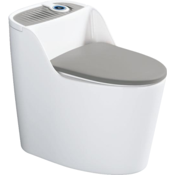 Light Smart Toilet 6677A