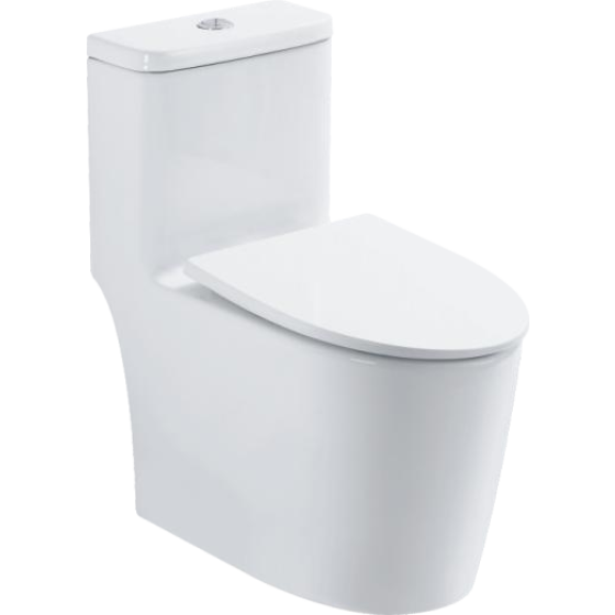 Light Smart Toilet 6636D