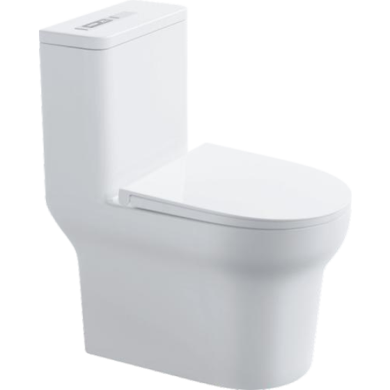 Light Smart Toilet 6618D