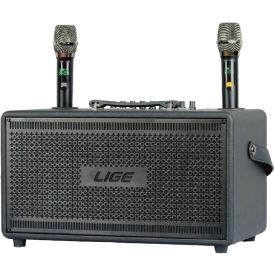 Speaker LIGE - 2637